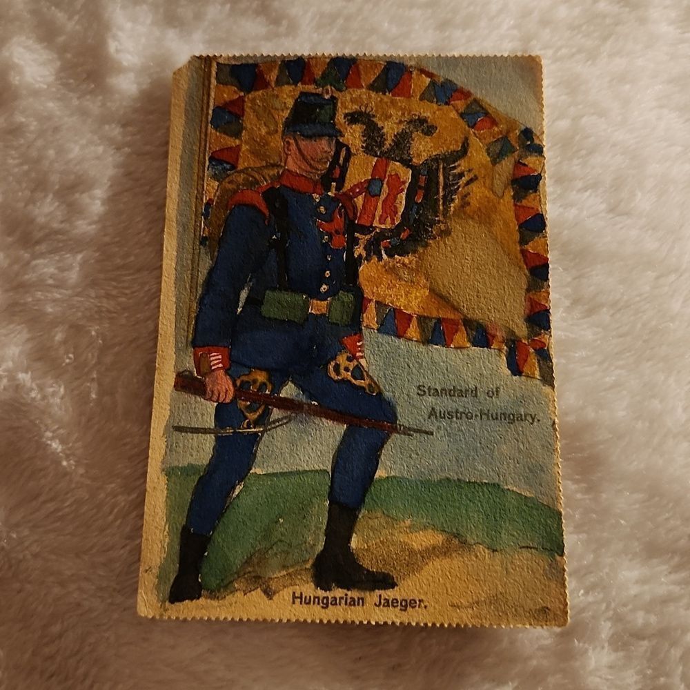 Tuck's Post Card Hungarian Jaeger Vintage Postcard